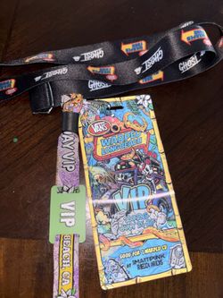 2 day vip warped tour ticket
