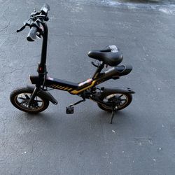 Electric Bike