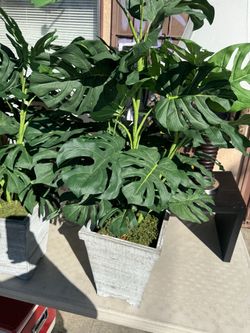 Artificial Plant