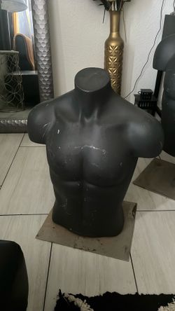 Male Mannequin Torso