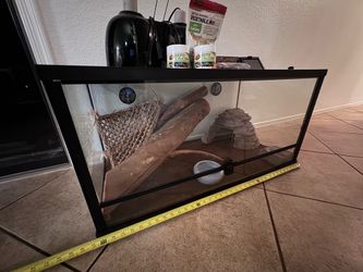 Large Clean Ready to go Terrarium w/ Extras