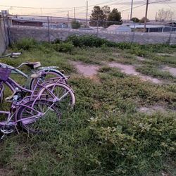 We Cut Your Grass .!!!! Fair Prices .!!!!