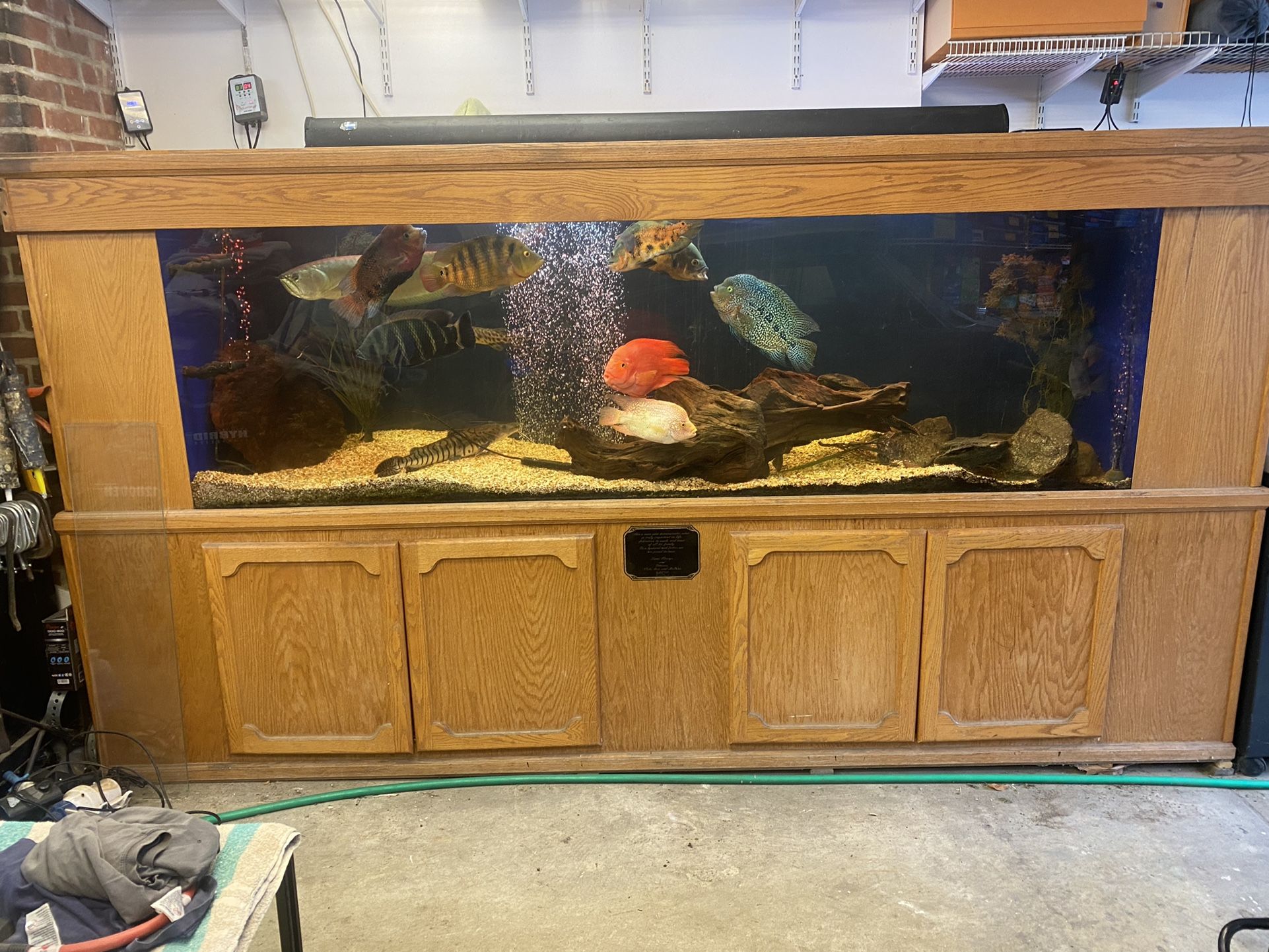 Acrilic 400 Gallon Fish Tank