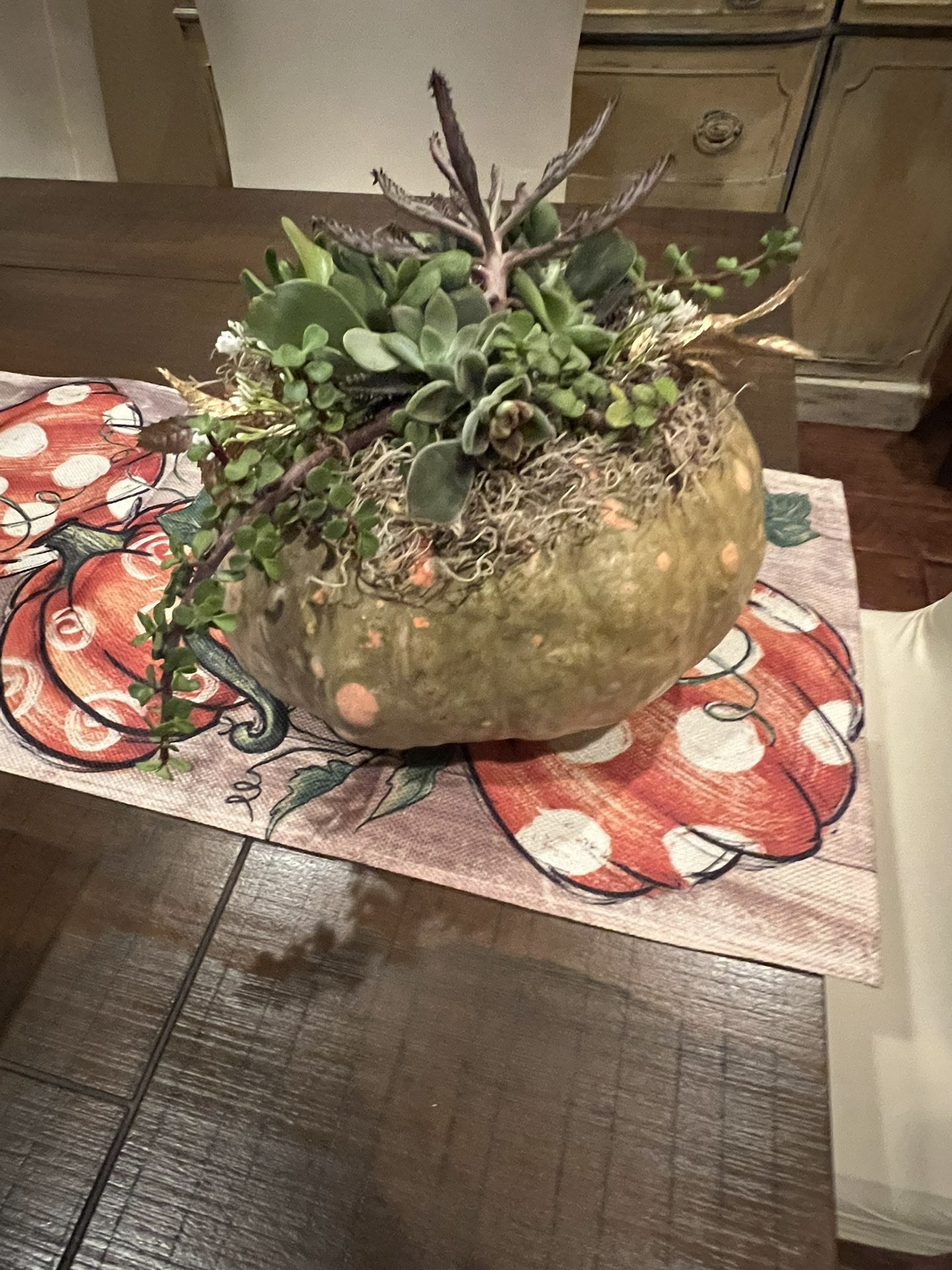 Large pumpkin Succulent Topper 