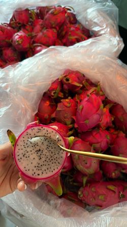 Dragon fruit