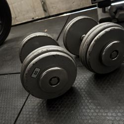 60 Ib Dumbbells