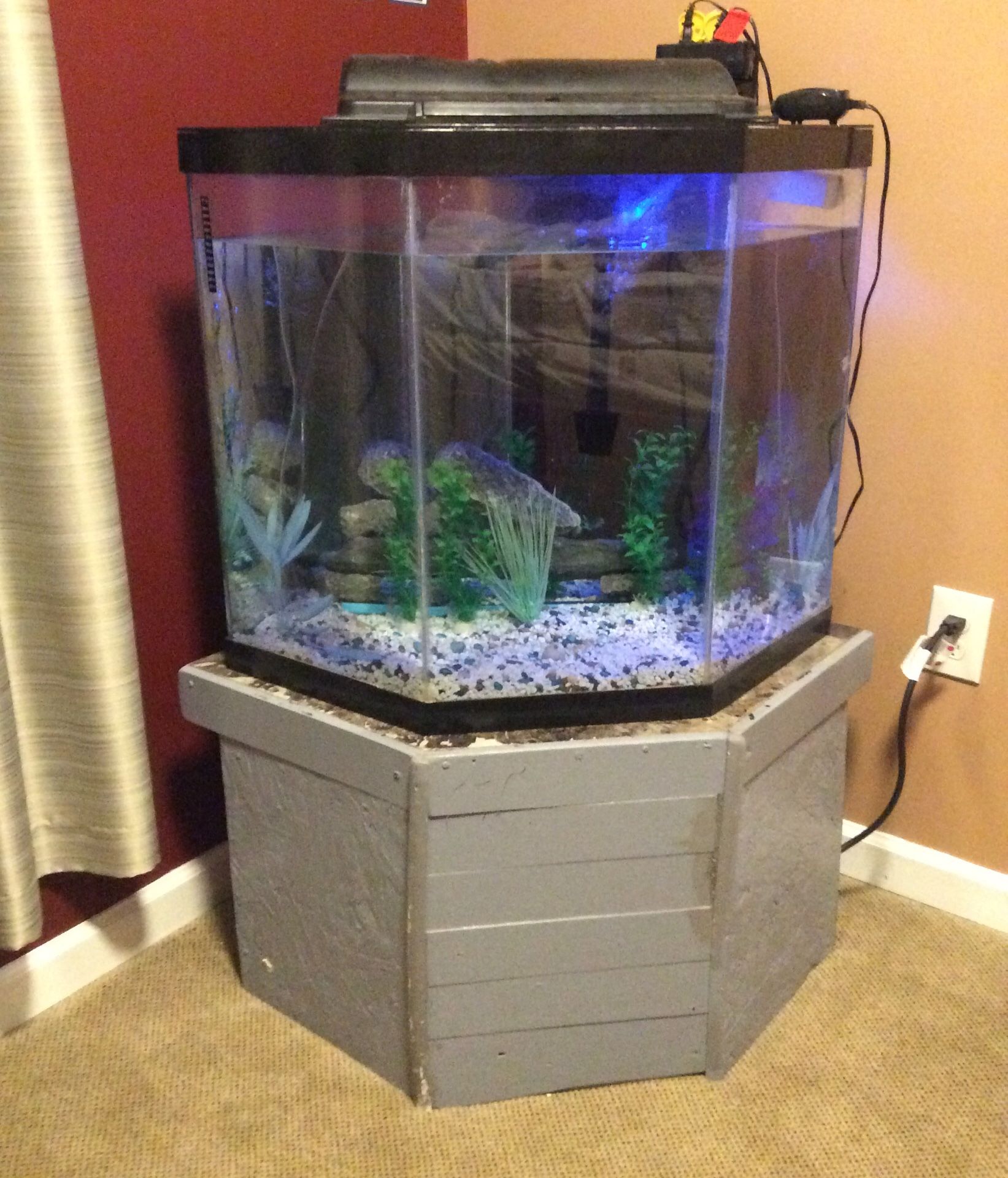 Corner fish tank