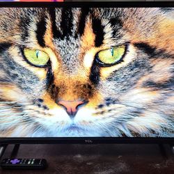 32" 720p Roku Smart LED TV Model 2018