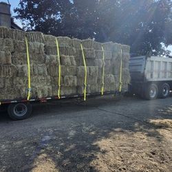 Hay For Sale (Delivery Available)