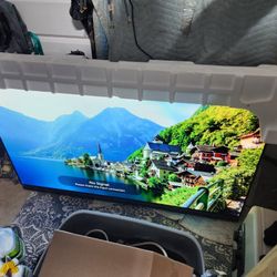 65" LG Oled 65E69