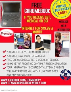 FRONTIER FUNDAMENTAL INTERNET