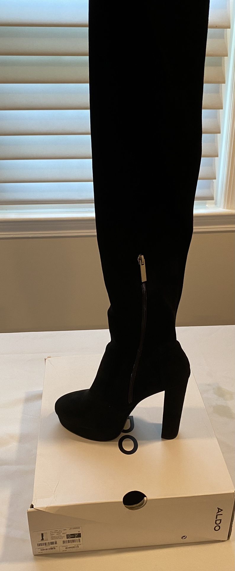 Aldo Suede CYTTARIA Boots