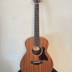 Taylor GS Mini