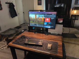Asus Gaming Monitor