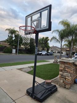 Basketball Hoop