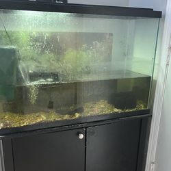 40 Gallon Tank With Stand 