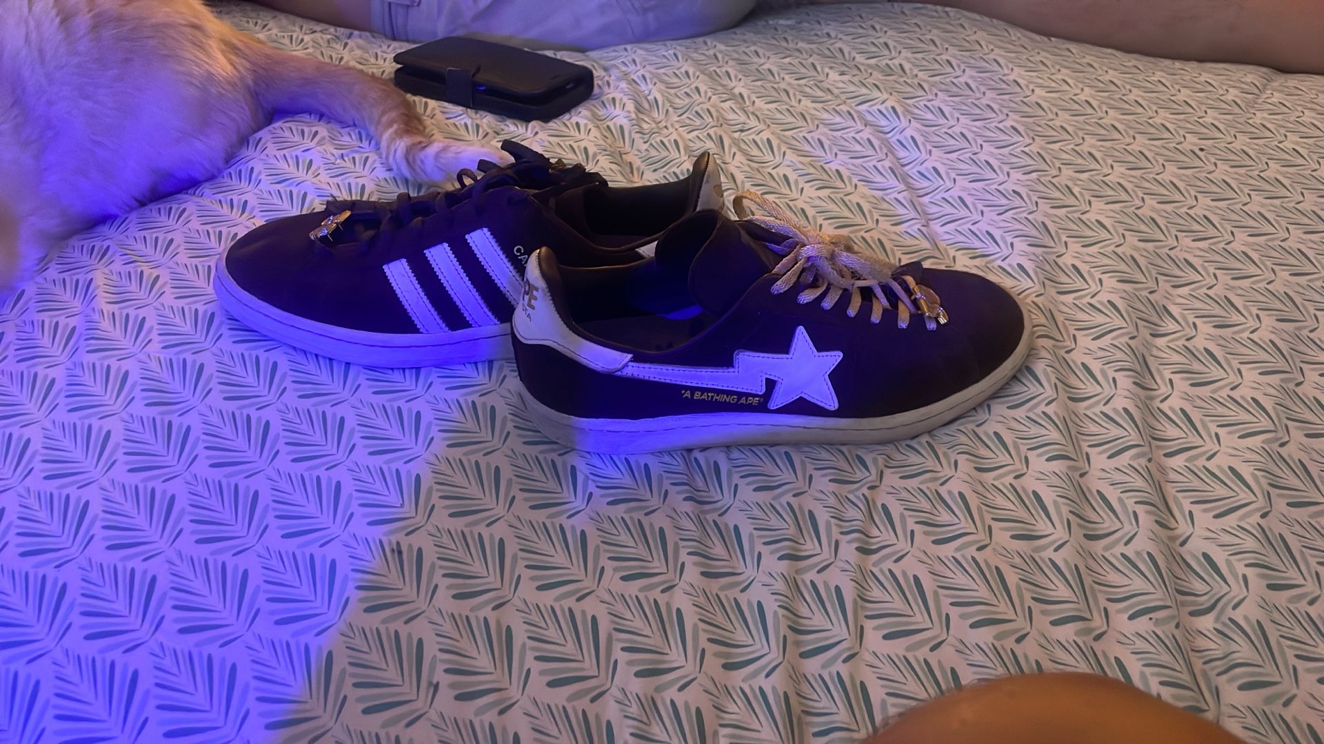 Bapesta X Adidas 30th Anniversary Collab