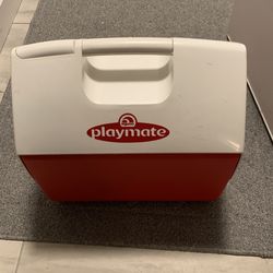 Igloo Cooler 16 Qt