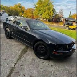 2006 Ford Mustang