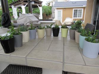 12 Muti Colors Garden Pots With Succulents