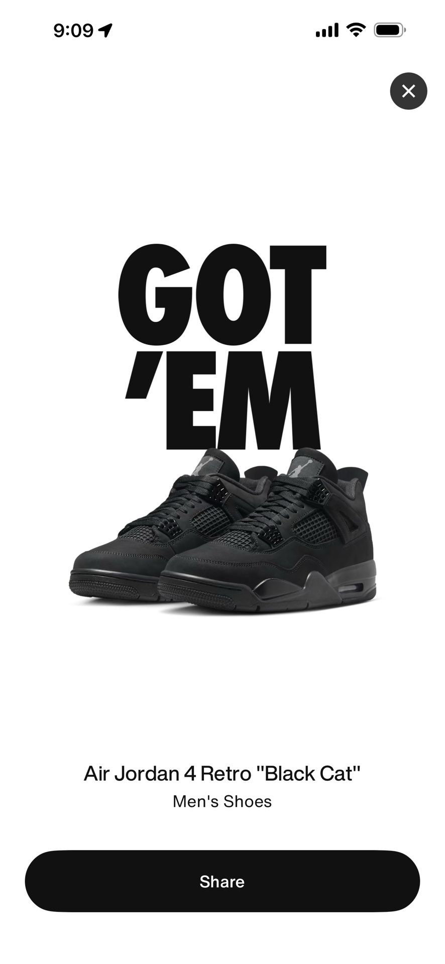Jordan 4 Black Cats 