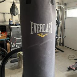 Punching Bag Stand With Speed Bag.