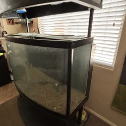 100 Gallon Fish Tank 