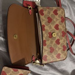 Purse & Wallet 