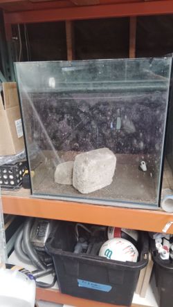 Fish tank