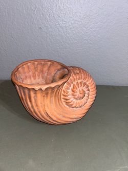 🐚 Nautilus Shell Terracotta Planter