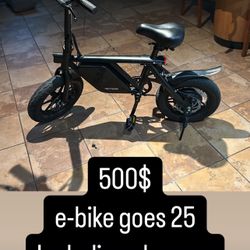 e-bike 