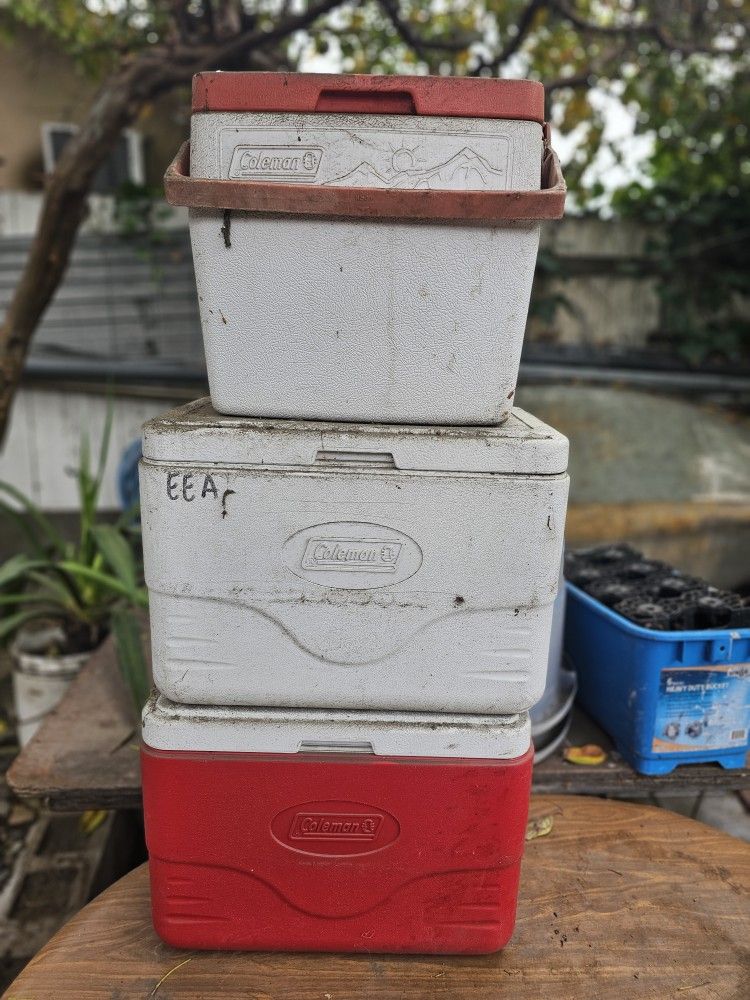 Coleman coolers
