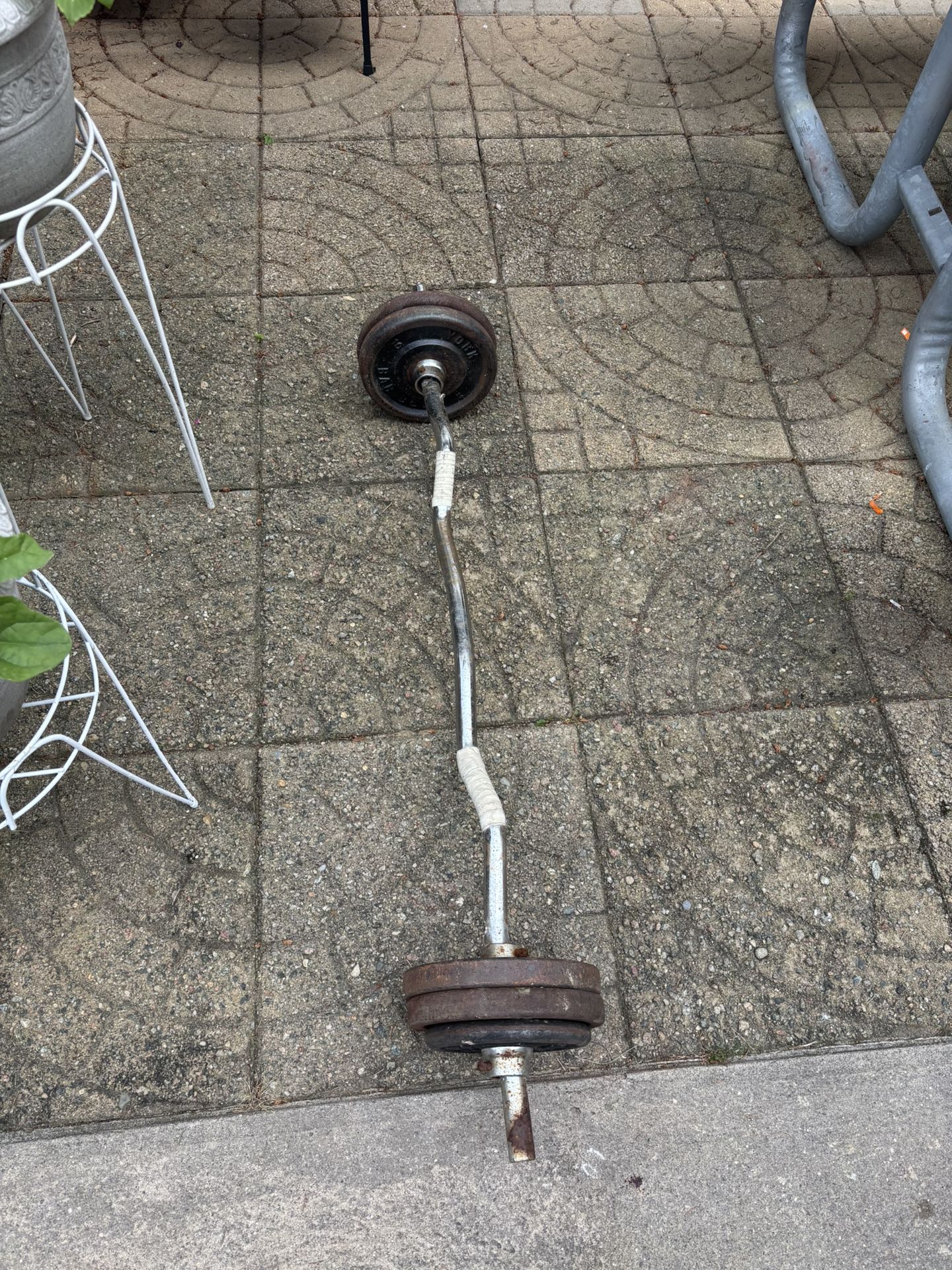 Curl Bar With 50 Lbs