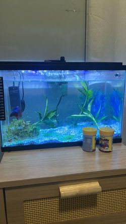 Tank Aquarium Set with Accessories
