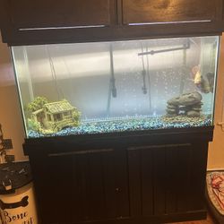 55 Gallon Fish Tank
