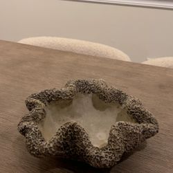 Coastal Cast Concrete Coral Decorative Bowl Planter Wrinkle