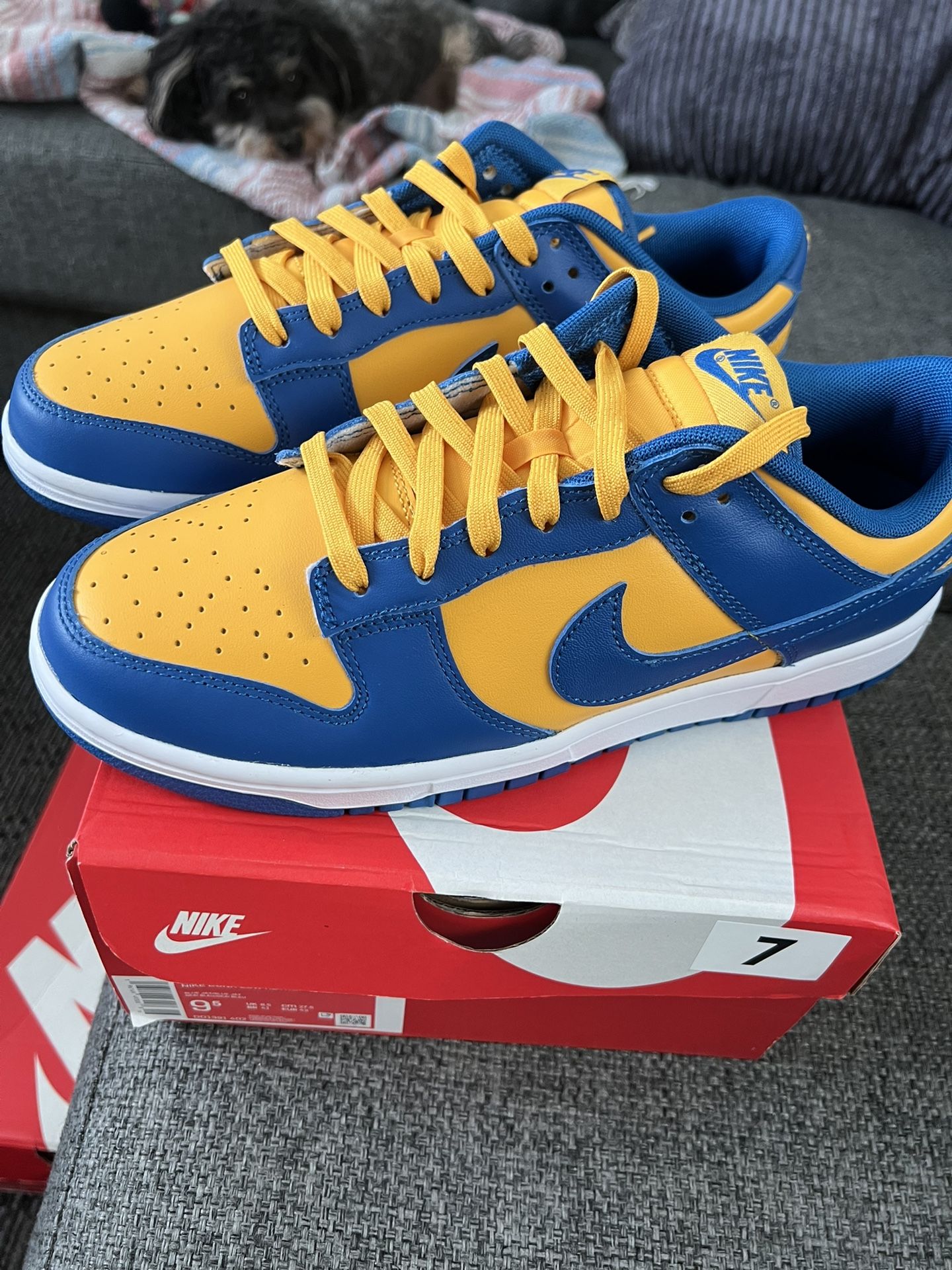 Nike Dunk Low Retro “UCLA” Men's Size