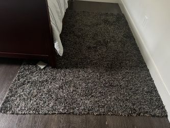 Indoor/ Outdoor Shaggy Rug 