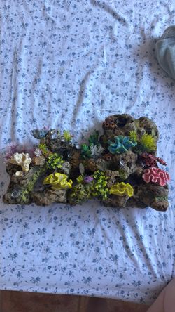 Coral fish decor