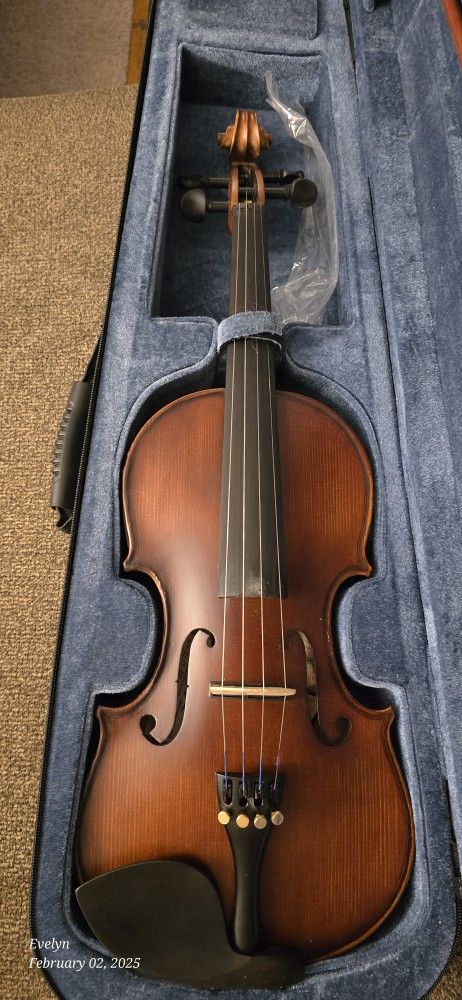 Violin - Electric
