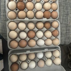 Chicken/Quail Eggs