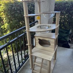 Cat Activity Tree