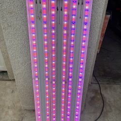 Grow Light, Plant Grow Lights