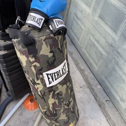 Punching Bag And Gloves
