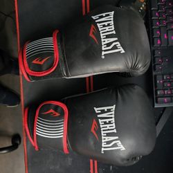 Everlast Boxing Gloves