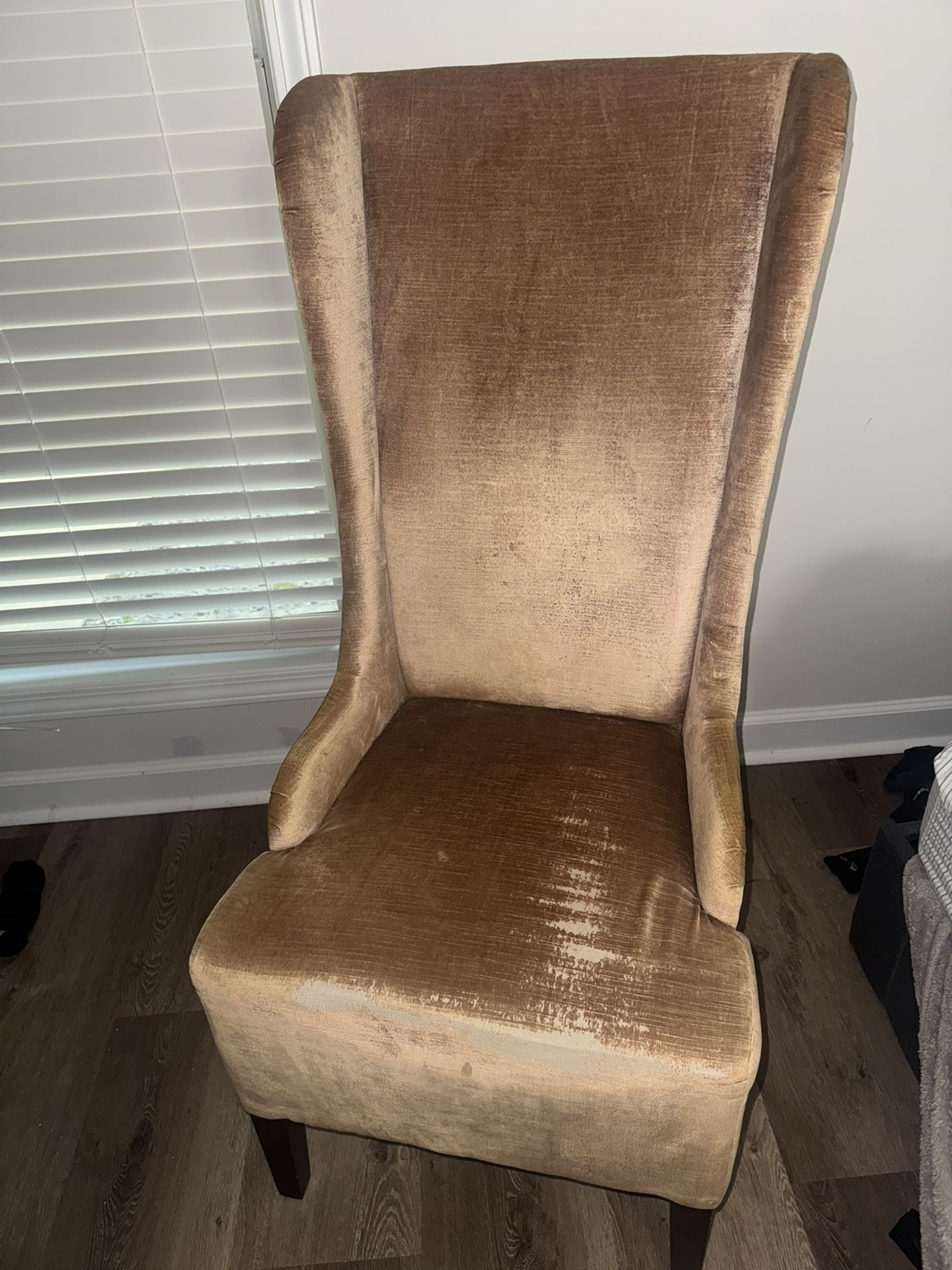 Safavieh Designer Chairs (Pair)