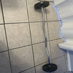Weightlifting Curling Bar Plus Weights 