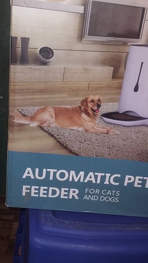 Pet Automatic Feeder Fogs And Cats