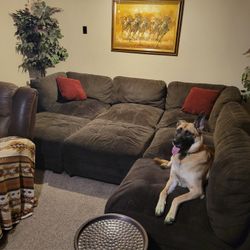 FREE SECTIONAL COUCH