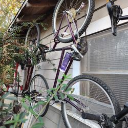 Schwinn Frontier Mountain Bike